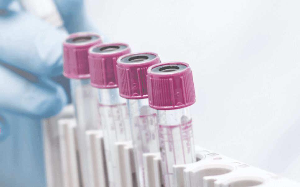 MEDICAL_POINT_WHITELAB